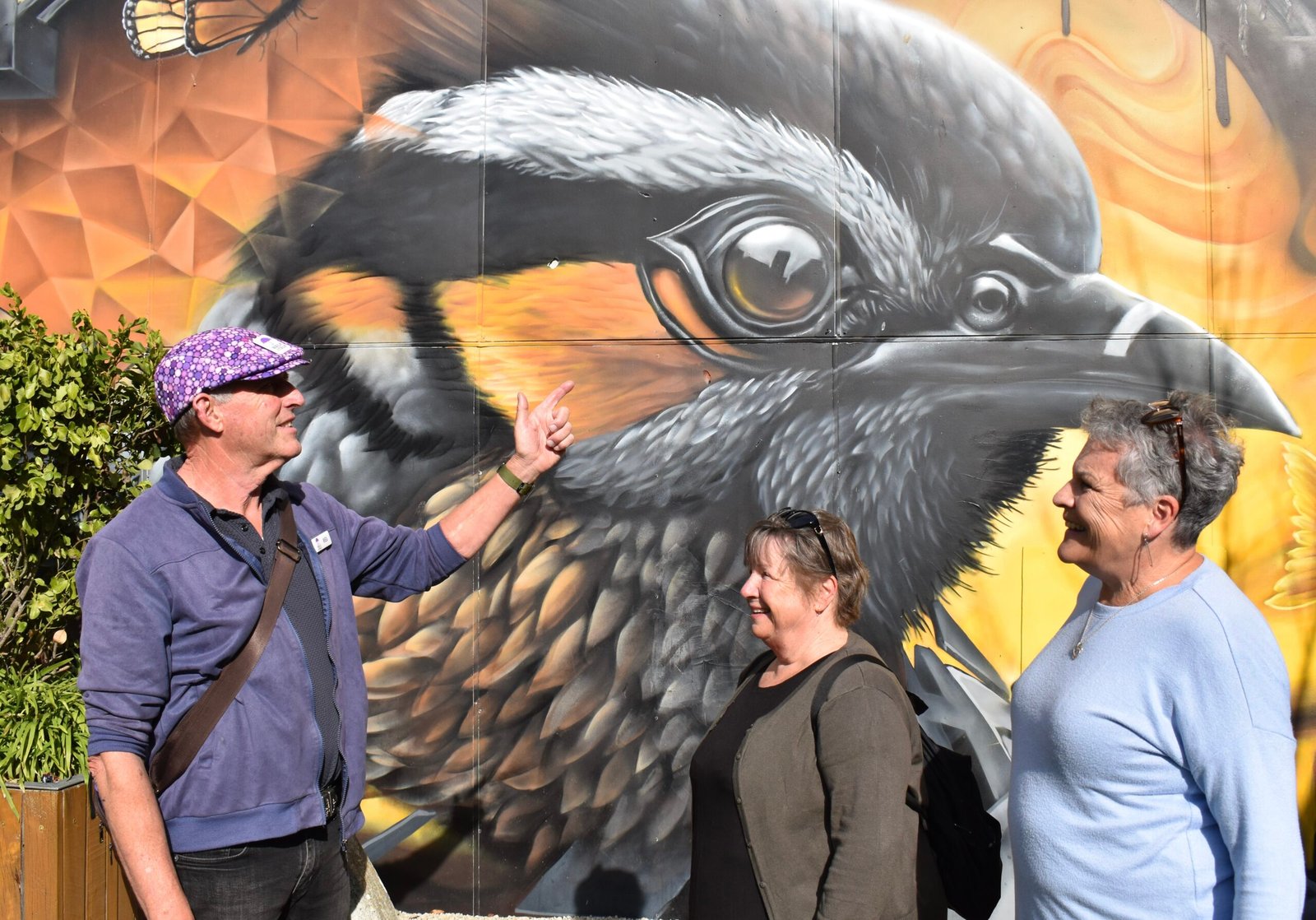 Wall arts abounds in Christchurch. Learn why!
